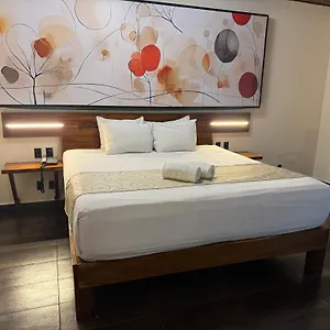 Kavia 5th Avenida (adults Only) Playa del Carmen
